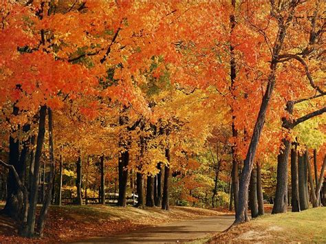 Fall Foliage In Indiana Park Autumn In Indiana Lonely Planet