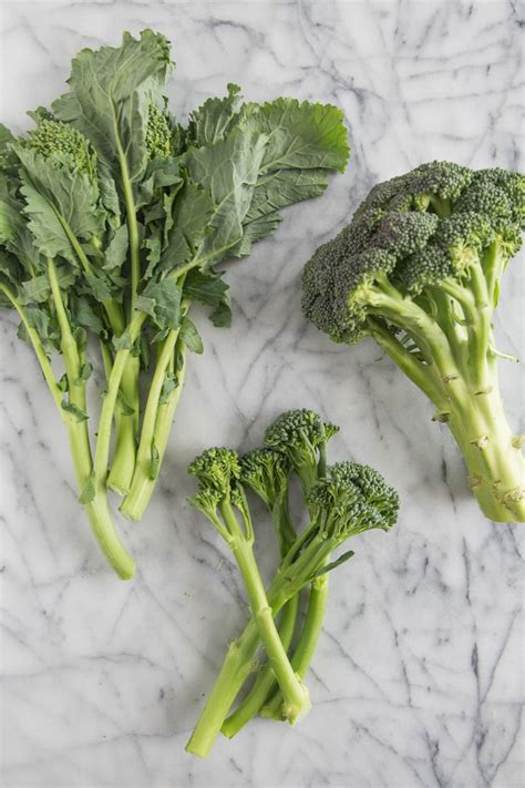 How to determine whether broccoli has gone bad or not? What's the Difference Between Broccoli, Broccolini ...