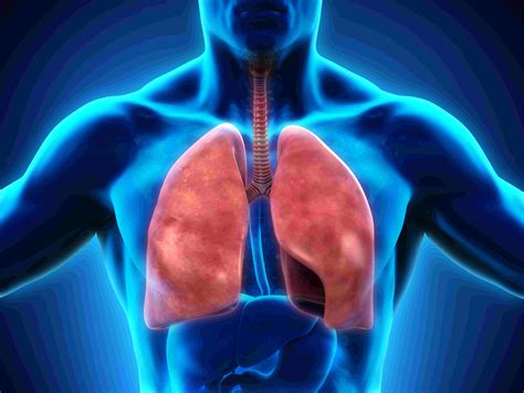 this recipe will help clear your lungs if you have been smoking for more than five years