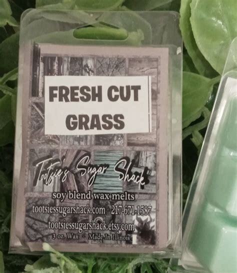 Fresh Cut Grass Wax Melts Grass Wax Melt Tarts Cut Grass Etsy