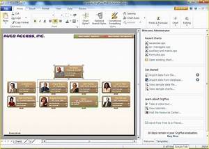 Free Organizational Chart Template Of Create Professional Looking