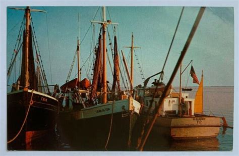 Nj Postcard Cape May New Jersey Fishing Boats Us Army Boat Vintage