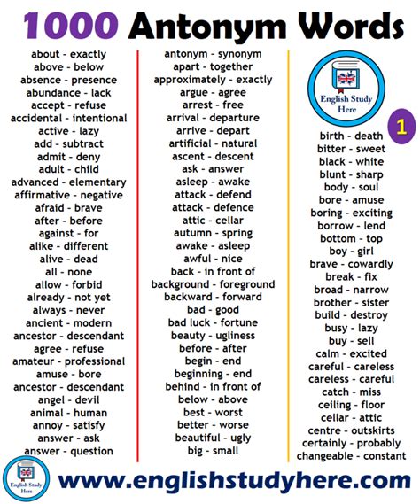 1000 Opposite Antonym Words List English Study Here