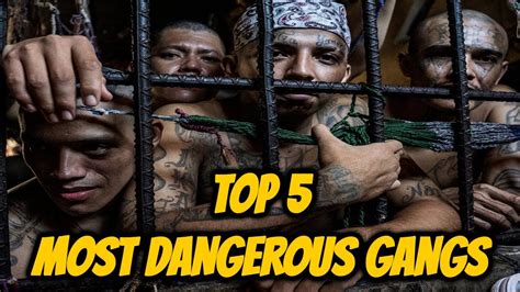 Top 5 Most Dangerous Gangs Youtube