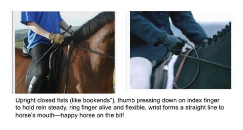 How To Hold The Reins To Improve Your Horses Performance The