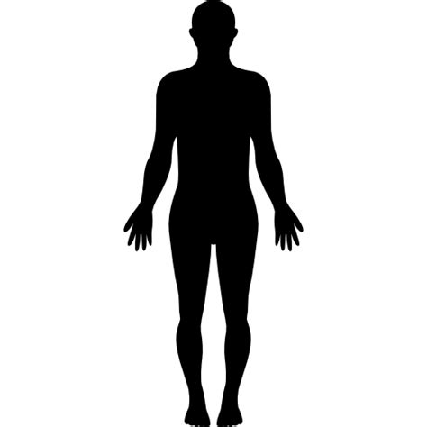 Human Body Homo Sapiens Silhouette Clip Art Human Png Download 512