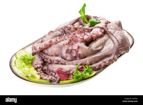 Raw Large Octopus Stock Photo Alamy