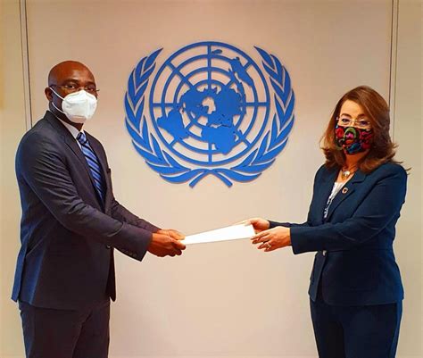 Ambassador Johnson Presents Credentials At The United Nations Office In