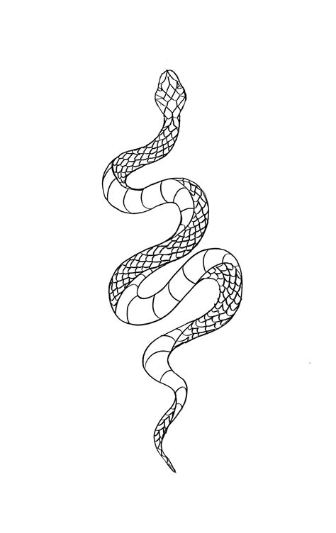 Snake Drawing Tattoo Traditional Snake Tattoo Designs Tattoos Drawing