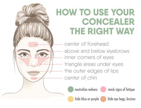 How To Apply Your Concealer The Right Way Infographic Chart How To