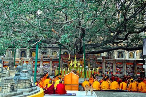 Buddhist Tourist Places In India Buddhist Tourism In India Treebo
