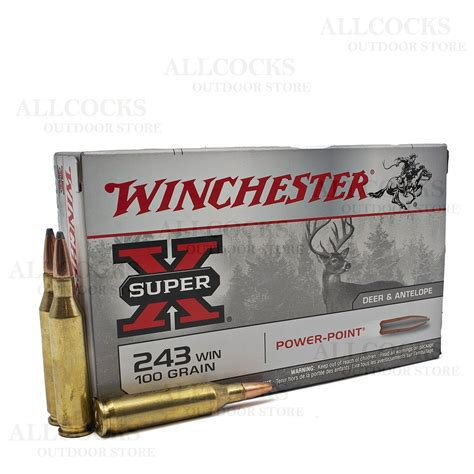 Winchester 243 Ammunition 100gr Super X Power Point In Lead