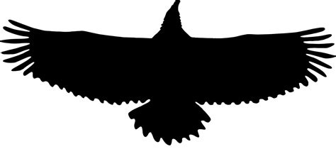 Eaglewildlifesilhouette Png Clipart Royalty Free Svg Png