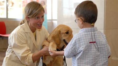 Terapias Con Perros Para Niños Autistas