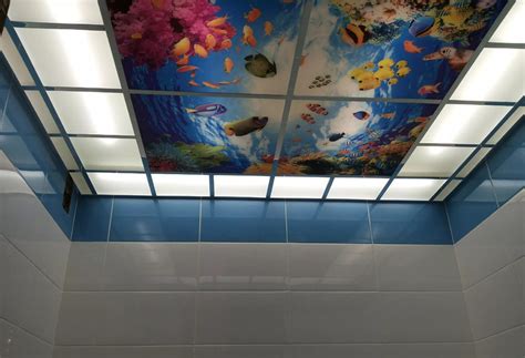 29 Simple False Ceiling Design For Bathroom Karlchenalchen