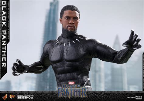 Marvel Black Panther Sixth Scale Figure By Hot Toys Sideshow Collectibles
