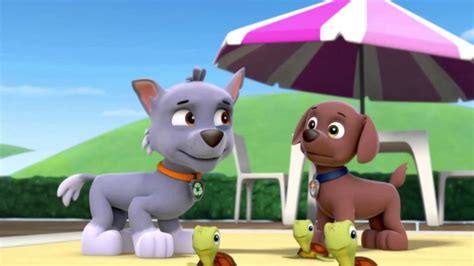 Paw Patrol Pups Save A Mer Pup Clip Compilation Hd Youtube