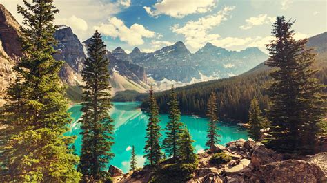 Картинки природа горы канада красиво озеро леса супер фото обои