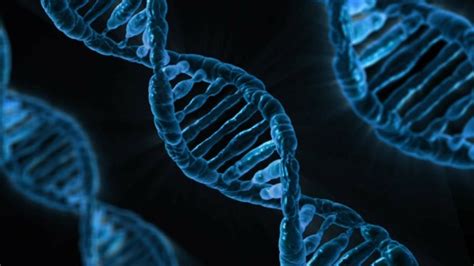 Scientists Discover Genetic Factors That May Increase Covid 19 Risk