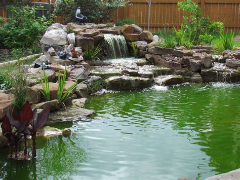 The Secret To Crystal Clear Pond Water The Pond Doctor