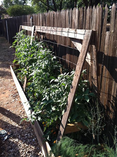 Diy Tomato Cage Ideas Homemade Tomato Cage Ideas Home Sweet Home