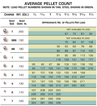 Steel Vs Lead Differences You Should Know