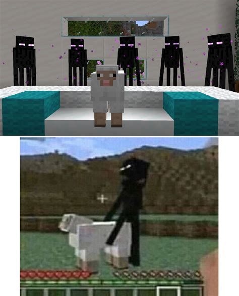 Minecraft Ender Sheep
