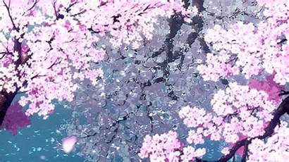 Sakura Gambar Anime Bunga Blossom Cherry Aesthetic