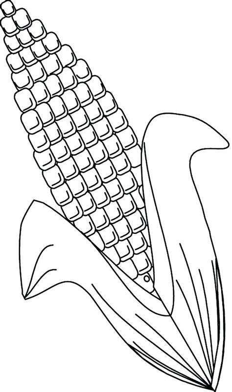 Corn Drawing Image At Getdrawings Free Download