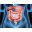 What Is Colon Infection Beware Of These Symptoms Know Its Causes 
