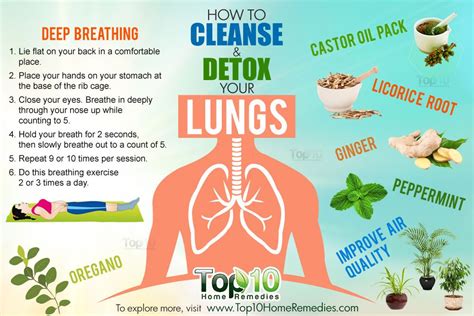 Lung, bronchial & sinus health by natural factors, natural supplement for respiratory health and easy breathing, 90 tablets (90 servings). How to Cleanse and Detox Your Lungs | Top 10 Home Remedies