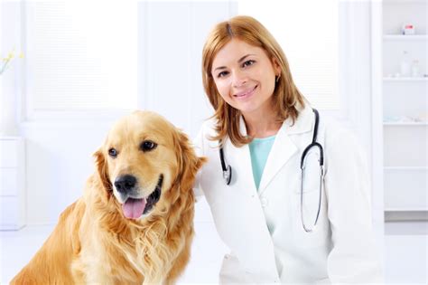 Asukohta kaardil vet to pet bandung. Know Why You Should Take Your Dog To The Vet | Pets Nurturing