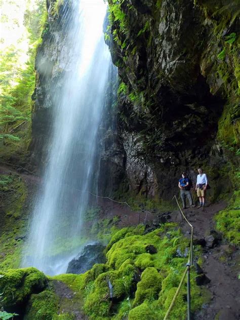 Covel Creek Falls Visit Rainier