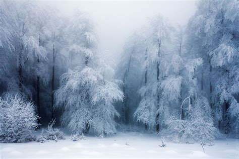 Frozen Forest By Evgeni Dinev On 500px Winter Landscape Winter