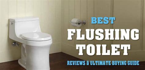 6 Best Flushing Toilet Reviews Buying Guide