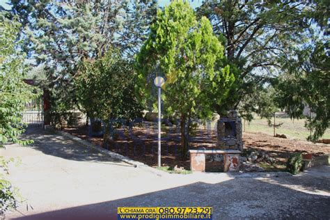 In tutta bisceglie sono al momento presenti 190 annunci di case indipendenti in vendita, ovvero quasi il 20% degli annunci di questa tipologia in tutta la provincia. Villetta di campagna con terreno in vendita a Terlizzi ...