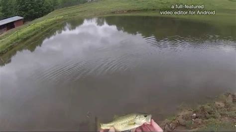 West Virginia Farm Pond Largemouth Bass Fishing 2 Youtube
