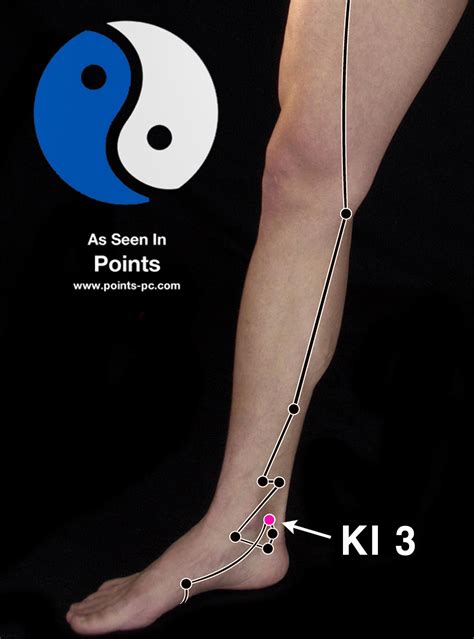 Kidney 3 Is The Source Point Of The Kidney Channel In Chinese Medicine
