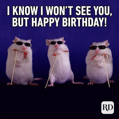 Funny Happy Birthday Pictures To Robert Bryant Beettlefor