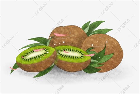 Kiwi Fruit PNG Image Kiwi Kiwifruit Vitamin Fruit Fruit Healthy Nutrition Png Kiwi Fruit