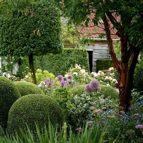 Mmaculately Trimmed Boxwood Balls And Topiaries With Exuberant