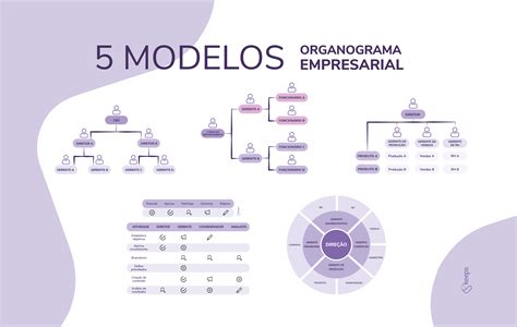 Organograma Empresarial Veja O Que é E 5 Modelos Para Implementar