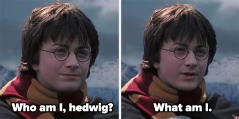 Celebrate The Return Of Harry Potter By Summoning These Memes Film