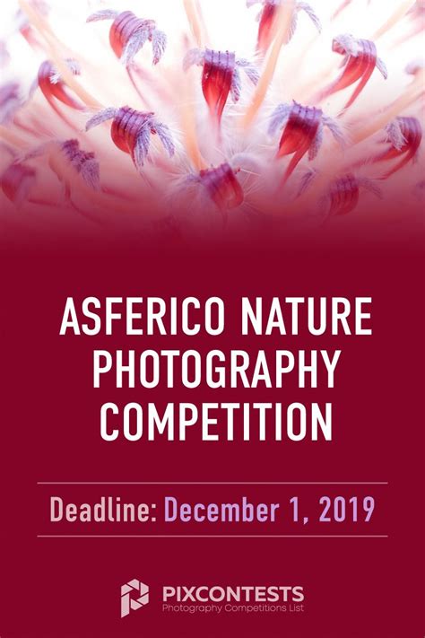 Deadline December 1 2019 Entry Fee €25 Young Free Prizes €250 €
