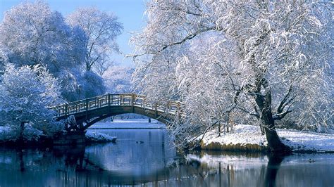 Winter Nature Wallpapers Top Free Winter Nature