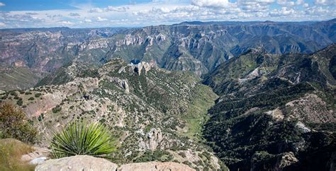 La Sierra Tarahumara Es Un Tesoro De La Biodiversidad En México