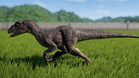 Velociraptor Jurassic World Evolution Wiki Fandom Jurassic Park World Velociraptor