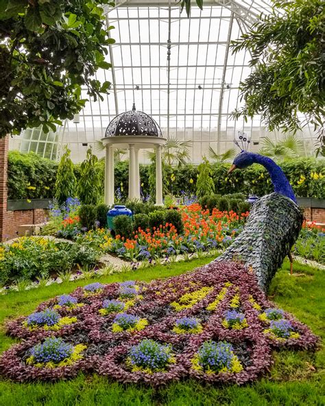 Phipps Conservatory This Past Weekend Was A Welcome Respite From Our