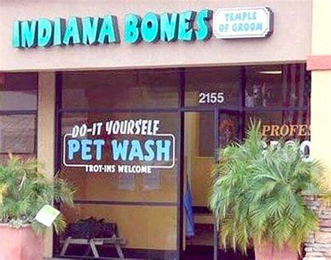 35 Hilarious Business Names That Will Make You Look Twice 7 Is The