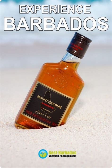 Pin On Barbados Rum